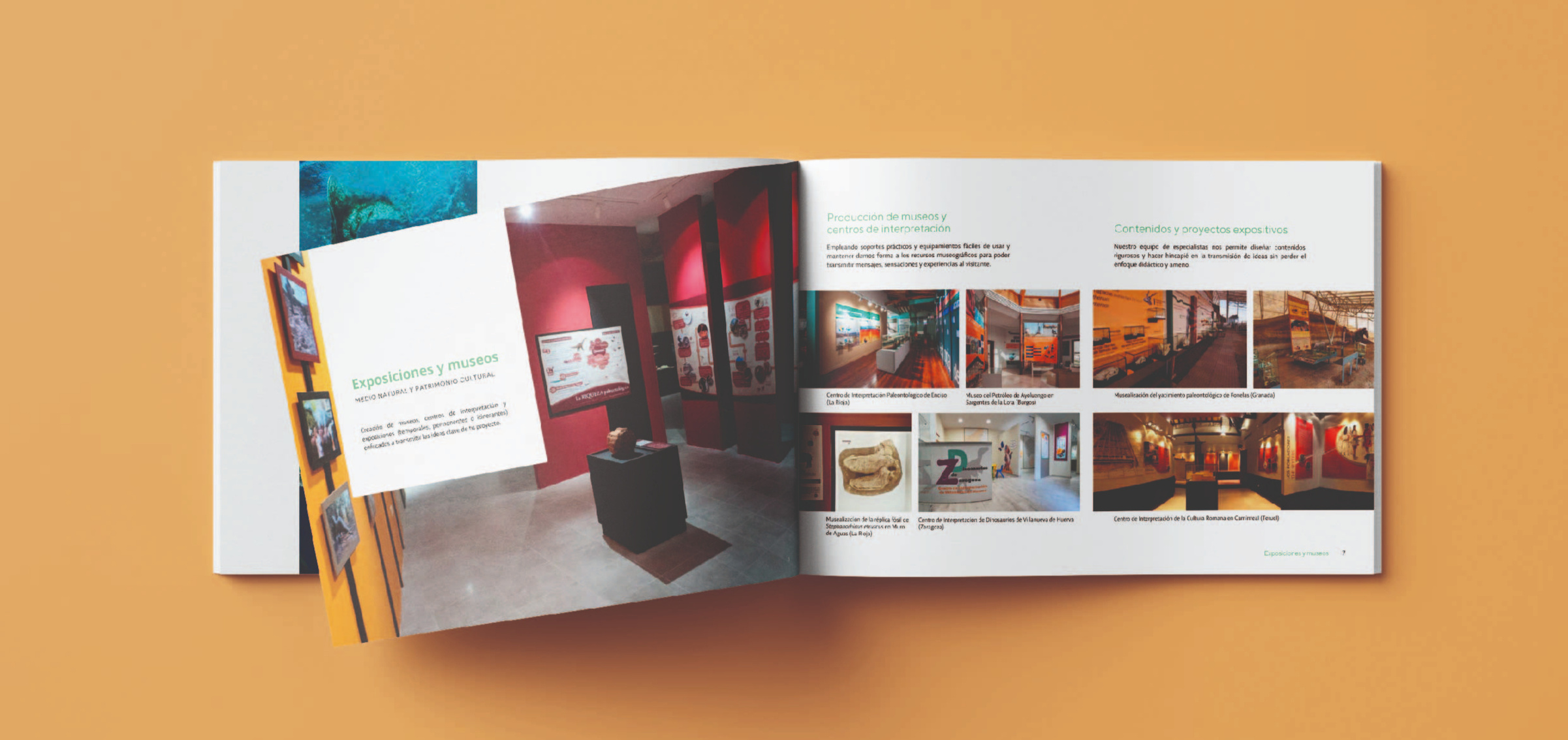 Marketing Print Media