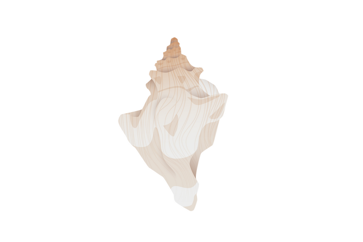 Shell